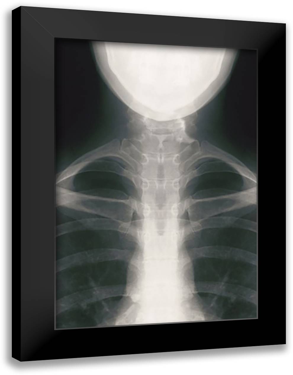 Infant Chest 16x22 Black Modern Wood Framed Art Print Poster