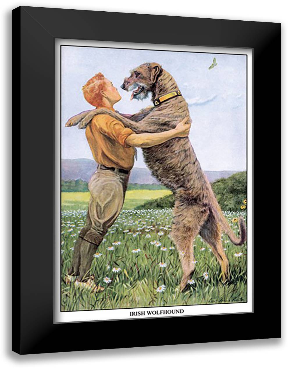 Irish Wolfhound 16x22 Black Modern Wood Framed Art Print Poster by Fuertes, Louis Agassil