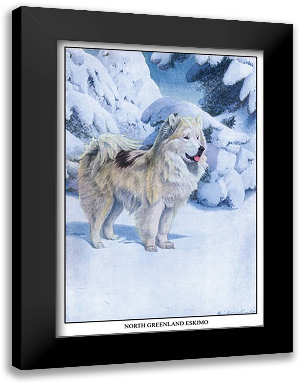 North Greenland Eskimo 16x22 Black Modern Wood Framed Art Print Poster by Fuertes, Louis Agassil