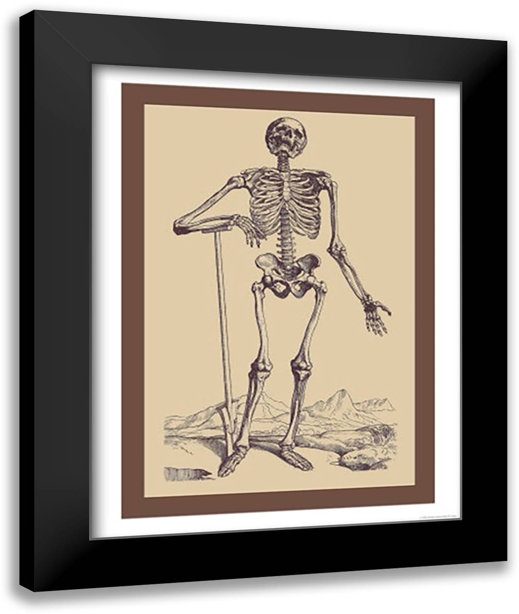 Skeleton with Shovel 16x22 Black Modern Wood Framed Art Print Poster by Vesalius, Andreas