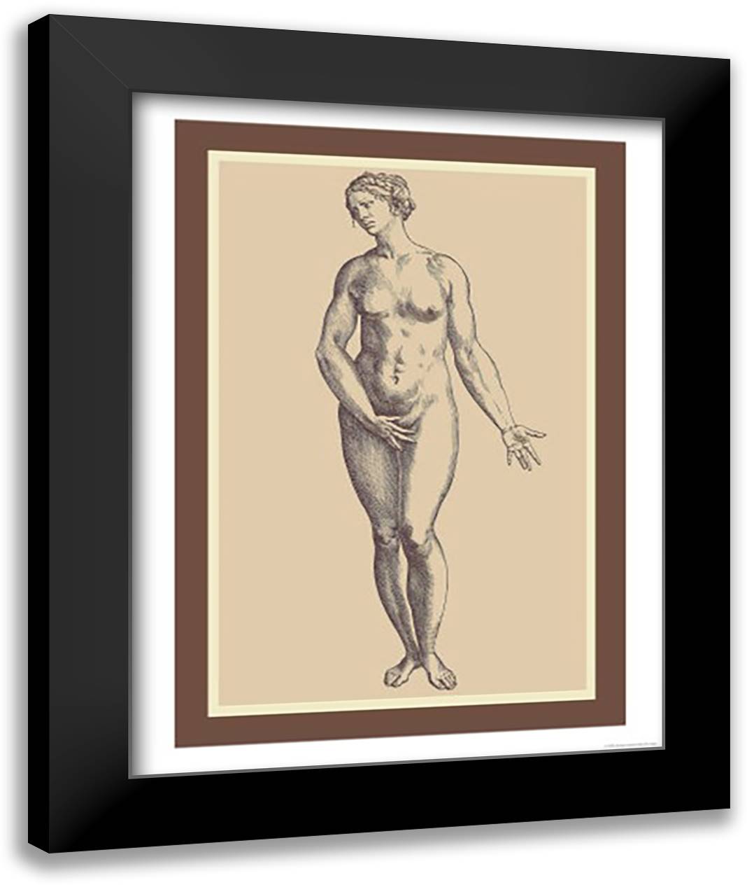 Woman 16x22 Black Modern Wood Framed Art Print Poster by Vesalius, Andreas