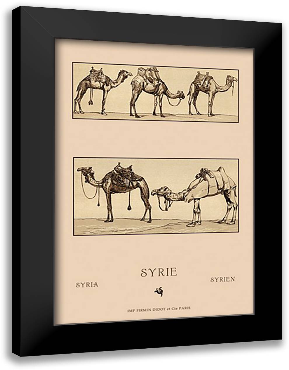 Variety of Howdahs from Syria 16x22 Black Modern Wood Framed Art Print Poster by Racinet, Auguste
