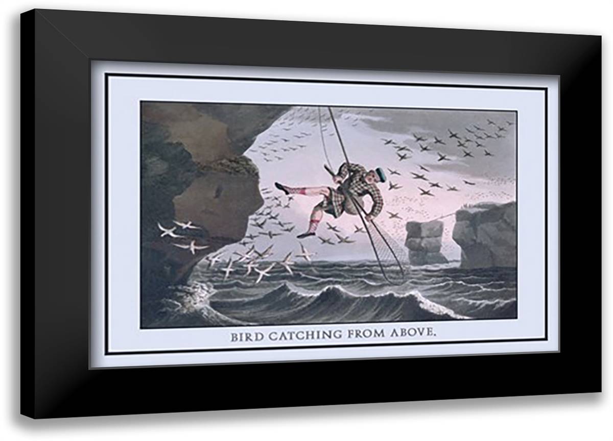 Bird Catching From Above 22x16 Black Modern Wood Framed Art Print Poster by Clark, J. H.