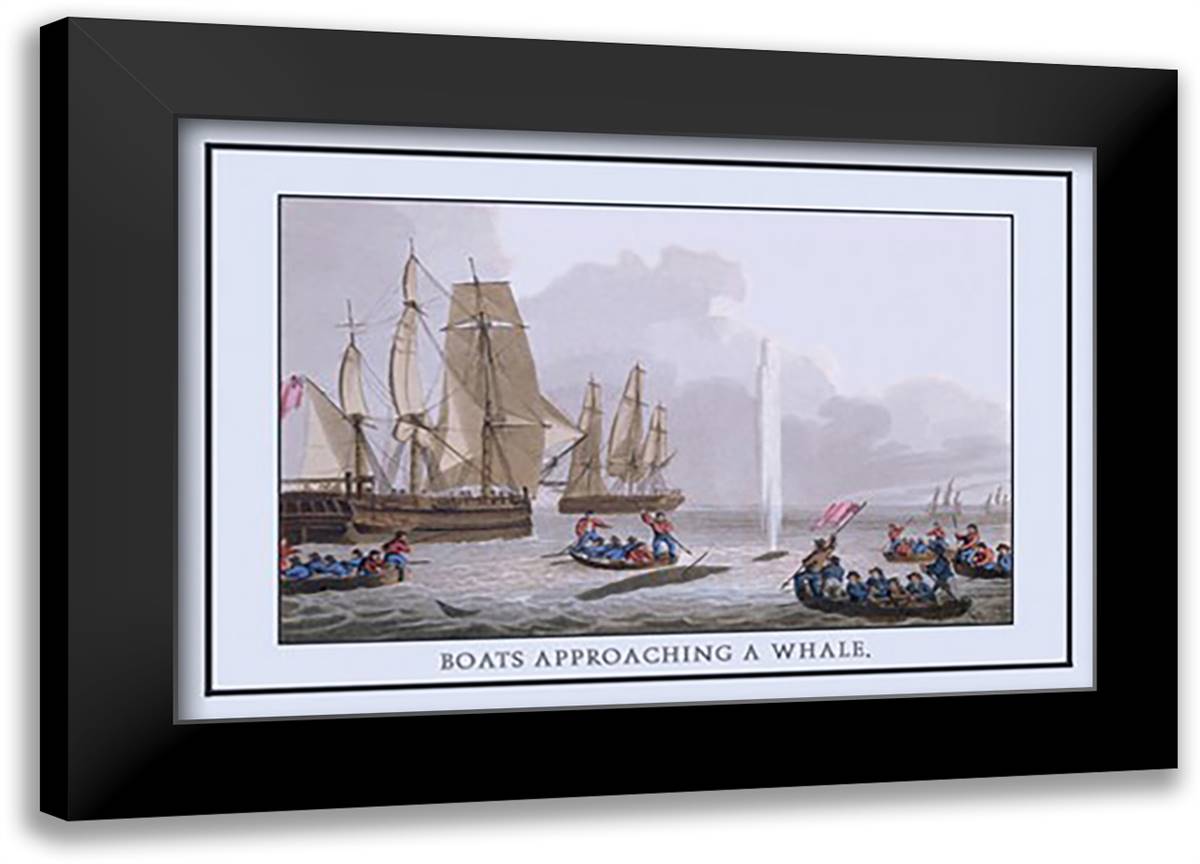 Boat Approaching a Whale 22x16 Black Modern Wood Framed Art Print Poster by Clark, J. H.