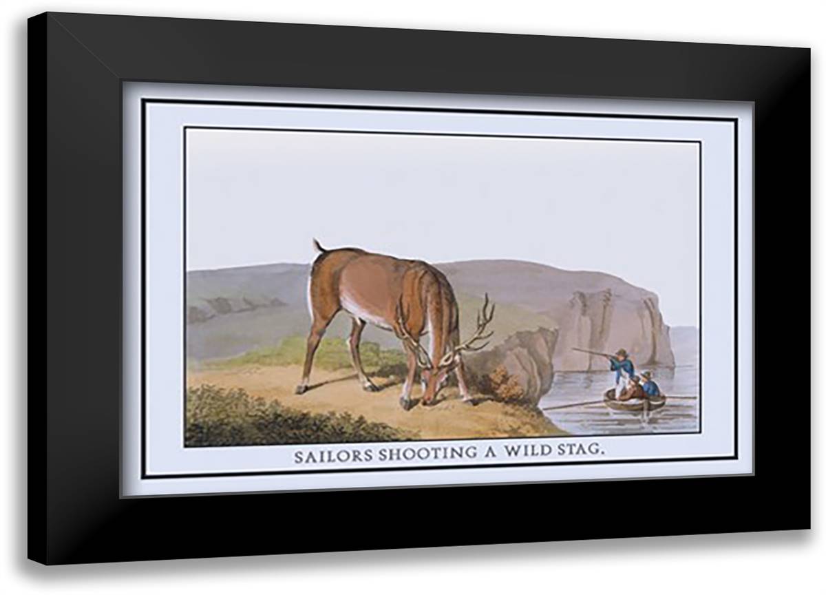 Sailors Shooting Wild Stag 22x16 Black Modern Wood Framed Art Print Poster