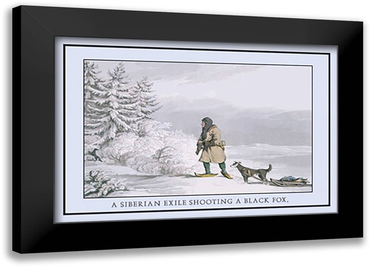 Siberian Exile Prepares To Shoot A Black Fox 22x16 Black Modern Wood Framed Art Print Poster by Atkinson, Katie
