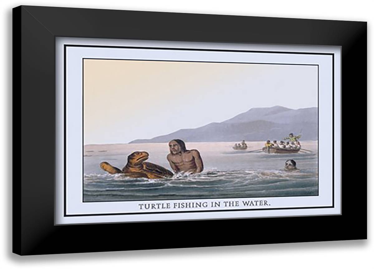 Turtle Fishing In The Water 22x16 Black Modern Wood Framed Art Print Poster by Clark, J. H.