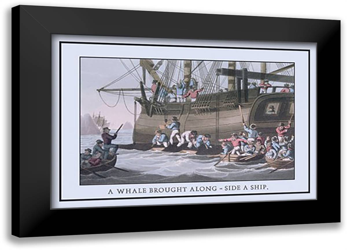 Whale Brought Along-Side a Ship 22x16 Black Modern Wood Framed Art Print Poster by Clark, J. H.