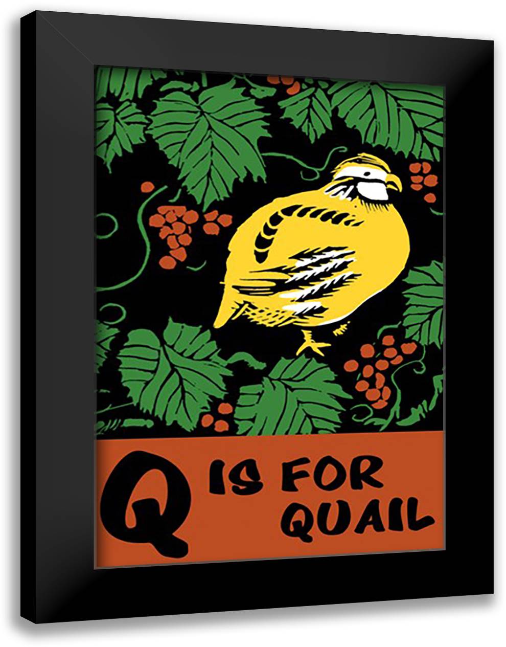 Q is for Quail 16x22 Black Modern Wood Framed Art Print Poster by Falls, C. B.
