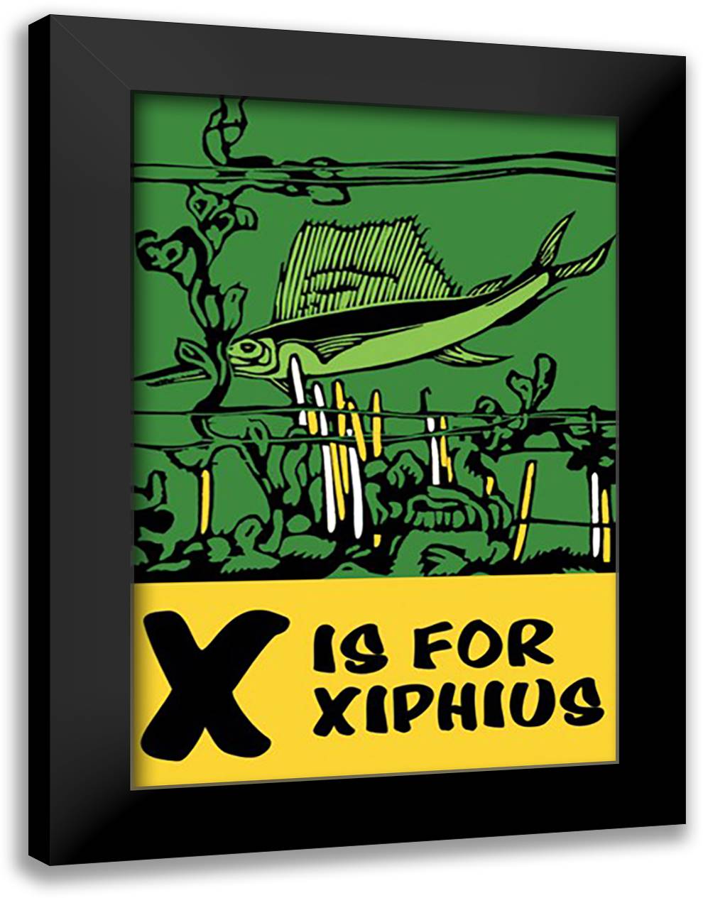 X is for Xiphius 16x22 Black Modern Wood Framed Art Print Poster by Falls, C. B.