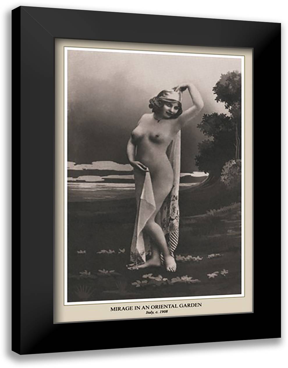 Mirage in an Oriental Garden 16x22 Black Modern Wood Framed Art Print Poster