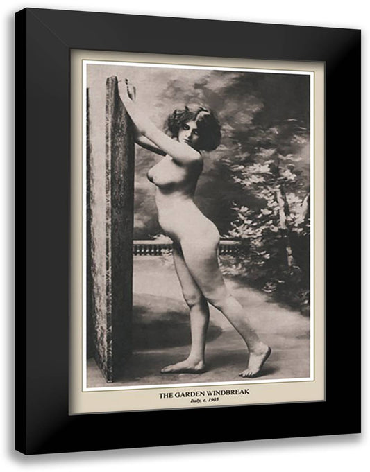 Garden Windbreak 16x22 Black Modern Wood Framed Art Print Poster