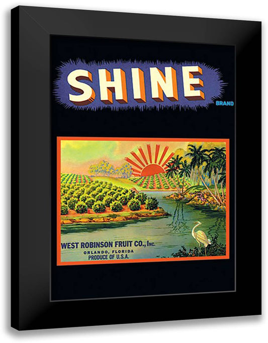 Shine Brand Fruit 16x22 Black Modern Wood Framed Art Print Poster