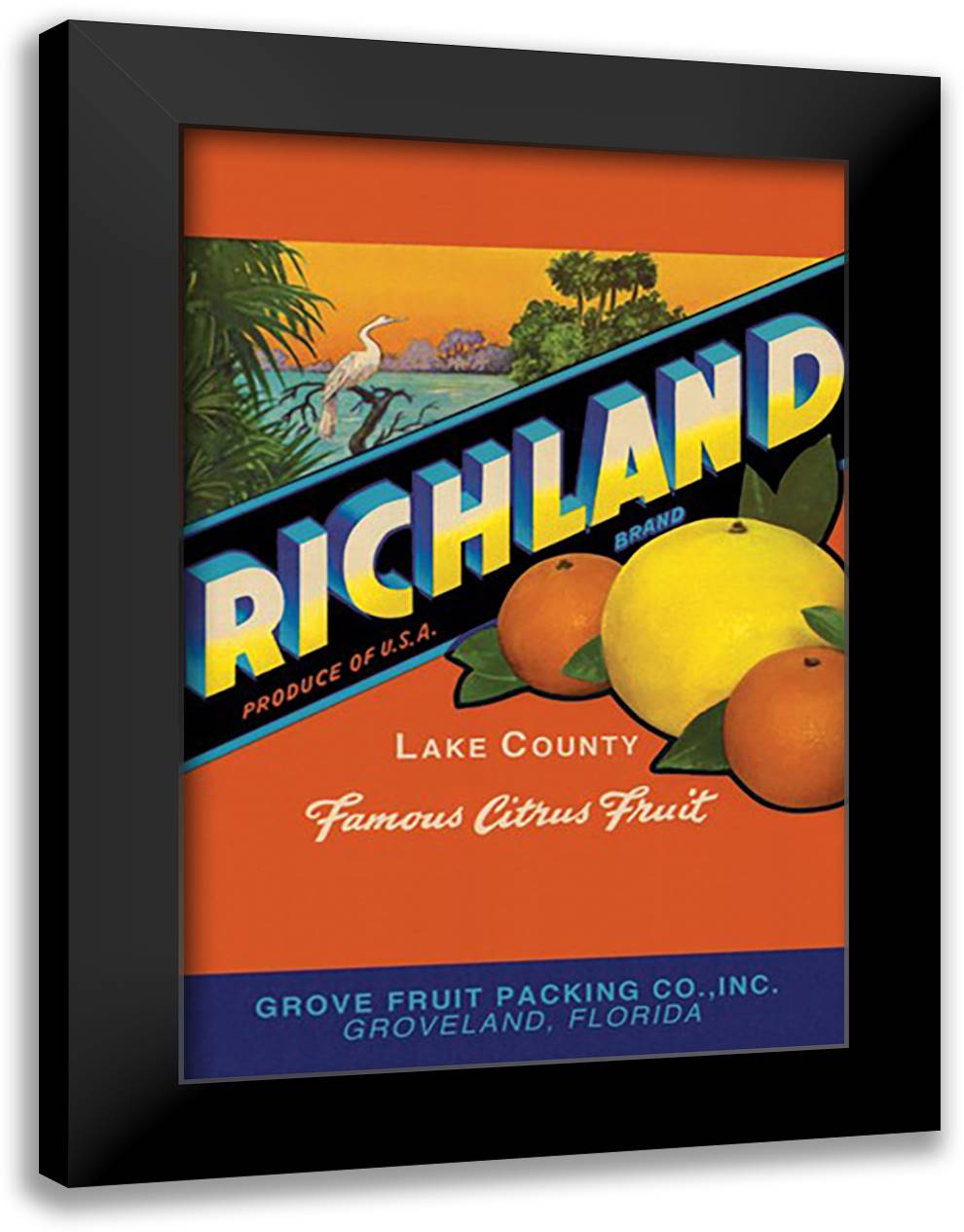 Richland Brand Citrus 16x22 Black Modern Wood Framed Art Print Poster