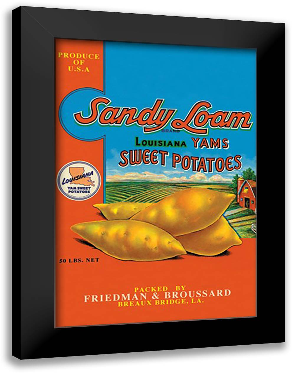 Sandy Loam Brand Yams 16x22 Black Modern Wood Framed Art Print Poster