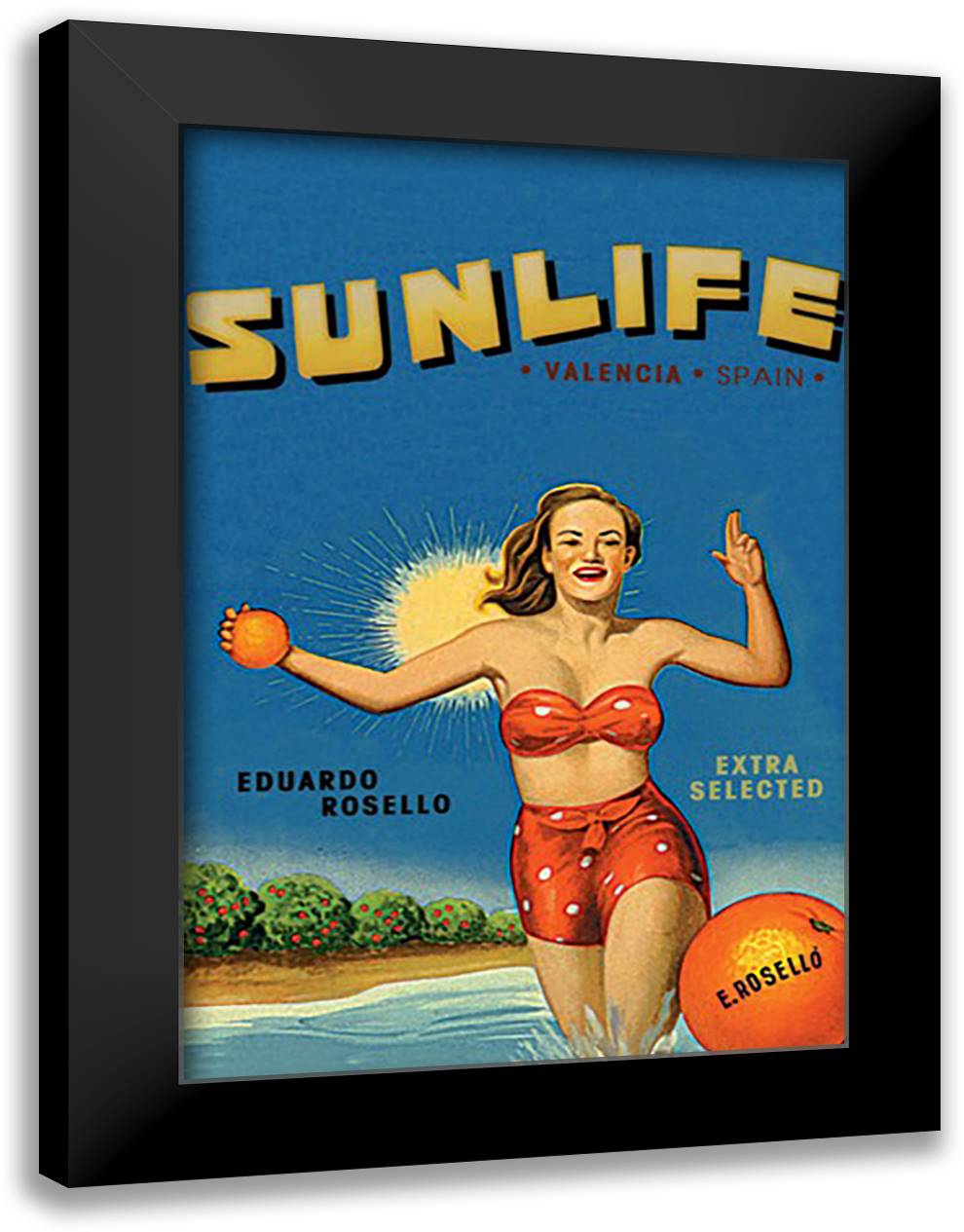 Sunlife Brand 16x22 Black Modern Wood Framed Art Print Poster