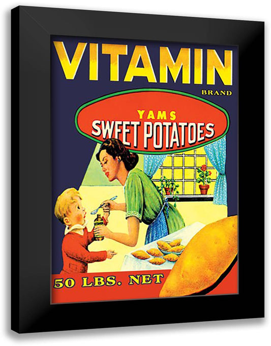 Vitamin Brand 16x22 Black Modern Wood Framed Art Print Poster