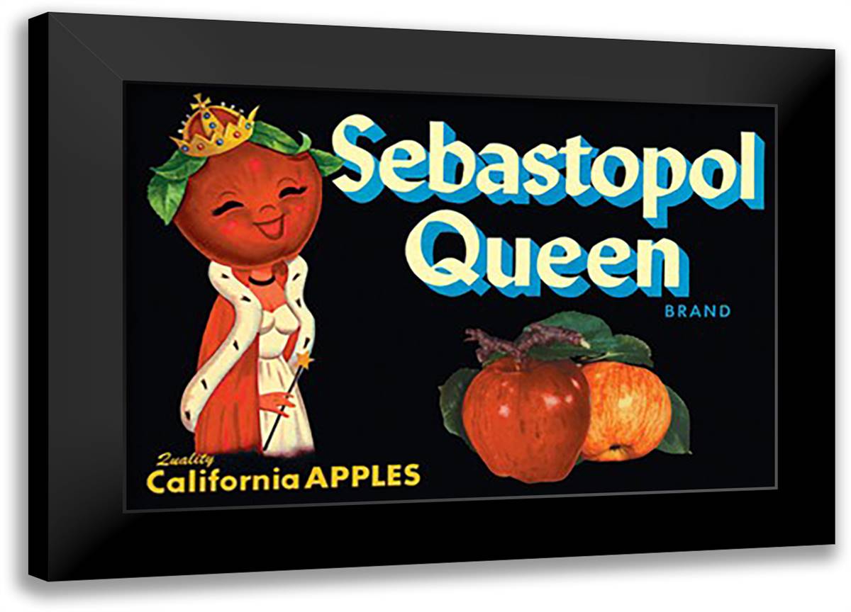 Sebastopol Queen Brand Apples 22x16 Black Modern Wood Framed Art Print Poster