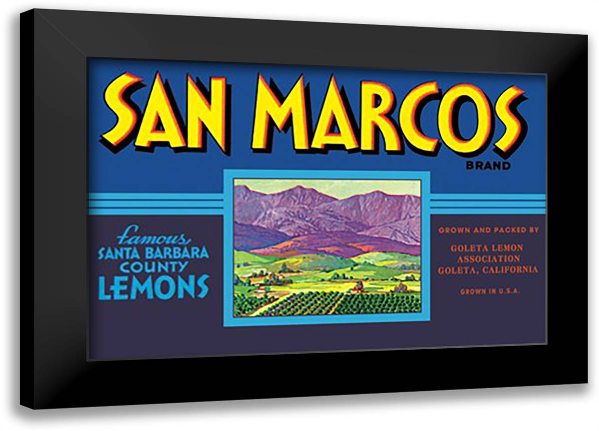 San Marcos Brand Lemons 22x16 Black Modern Wood Framed Art Print Poster
