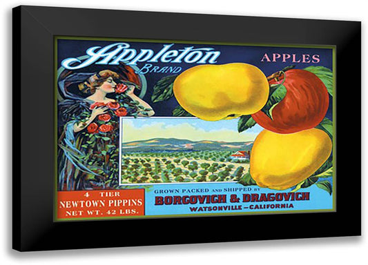 Appleton Brand Apples 22x16 Black Modern Wood Framed Art Print Poster