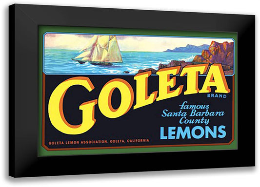 Goleta Brand Lemons 22x16 Black Modern Wood Framed Art Print Poster