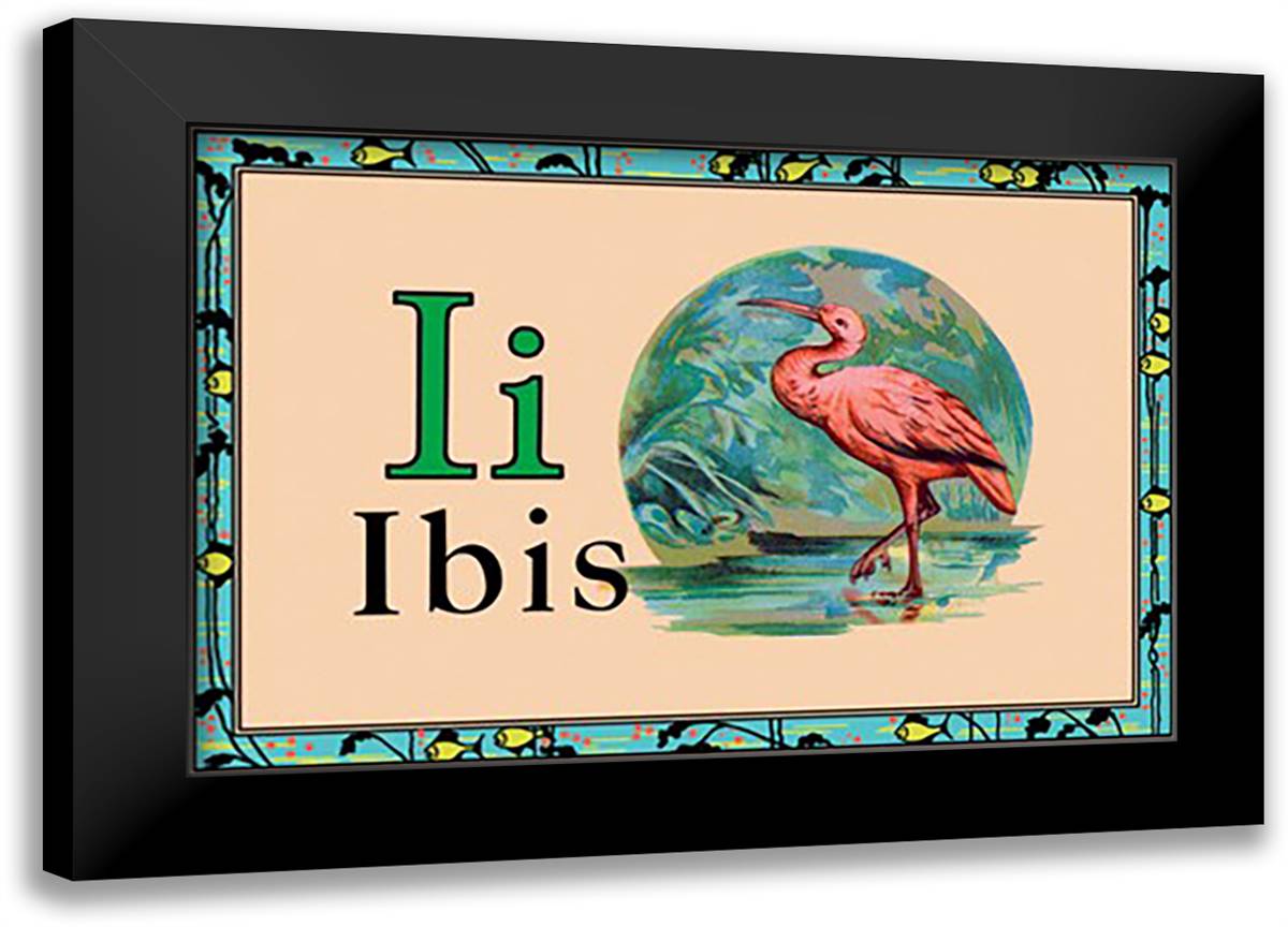Ibis 22x16 Black Modern Wood Framed Art Print Poster