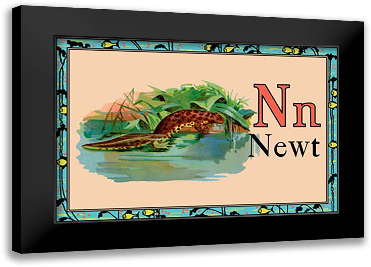Newt 22x16 Black Modern Wood Framed Art Print Poster