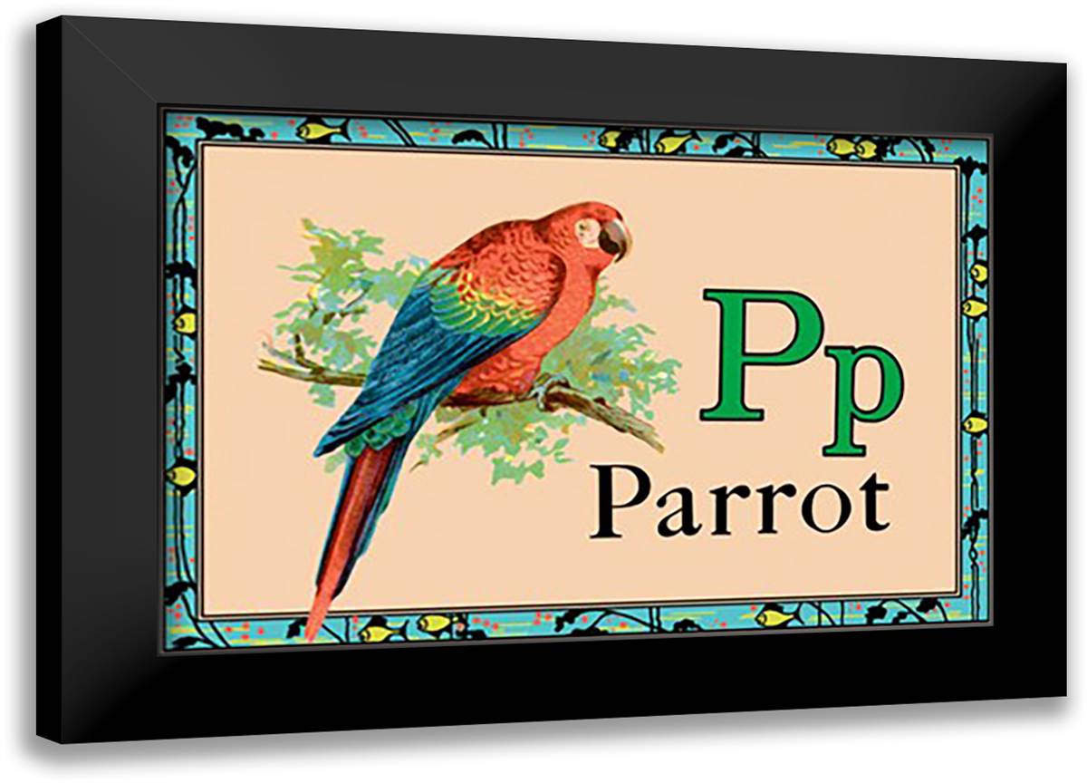 Parrot 22x16 Black Modern Wood Framed Art Print Poster