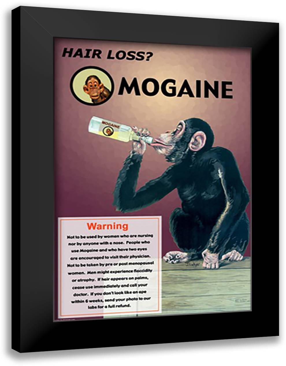Mogaine 16x22 Black Modern Wood Framed Art Print Poster by Pierce, Wilbur