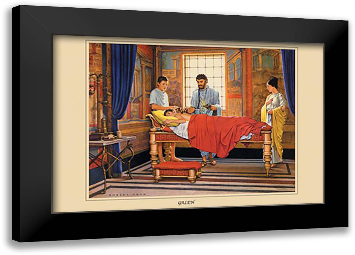 Galen 22x16 Black Modern Wood Framed Art Print Poster by Thom, Robert