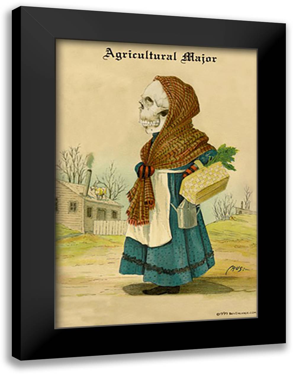 Agricultural Major 16x22 Black Modern Wood Framed Art Print Poster by Frusius M. D., F.
