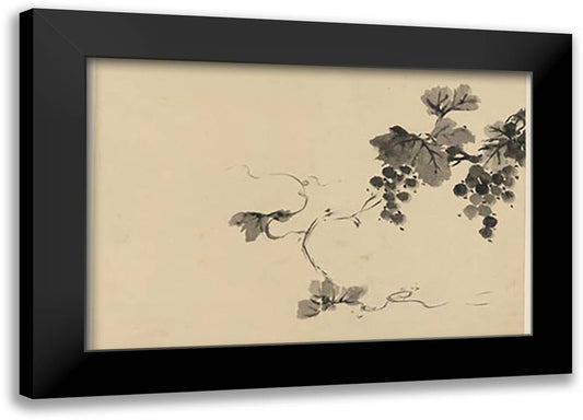 Wine Grape Vine 22x16 Black Modern Wood Framed Art Print Poster