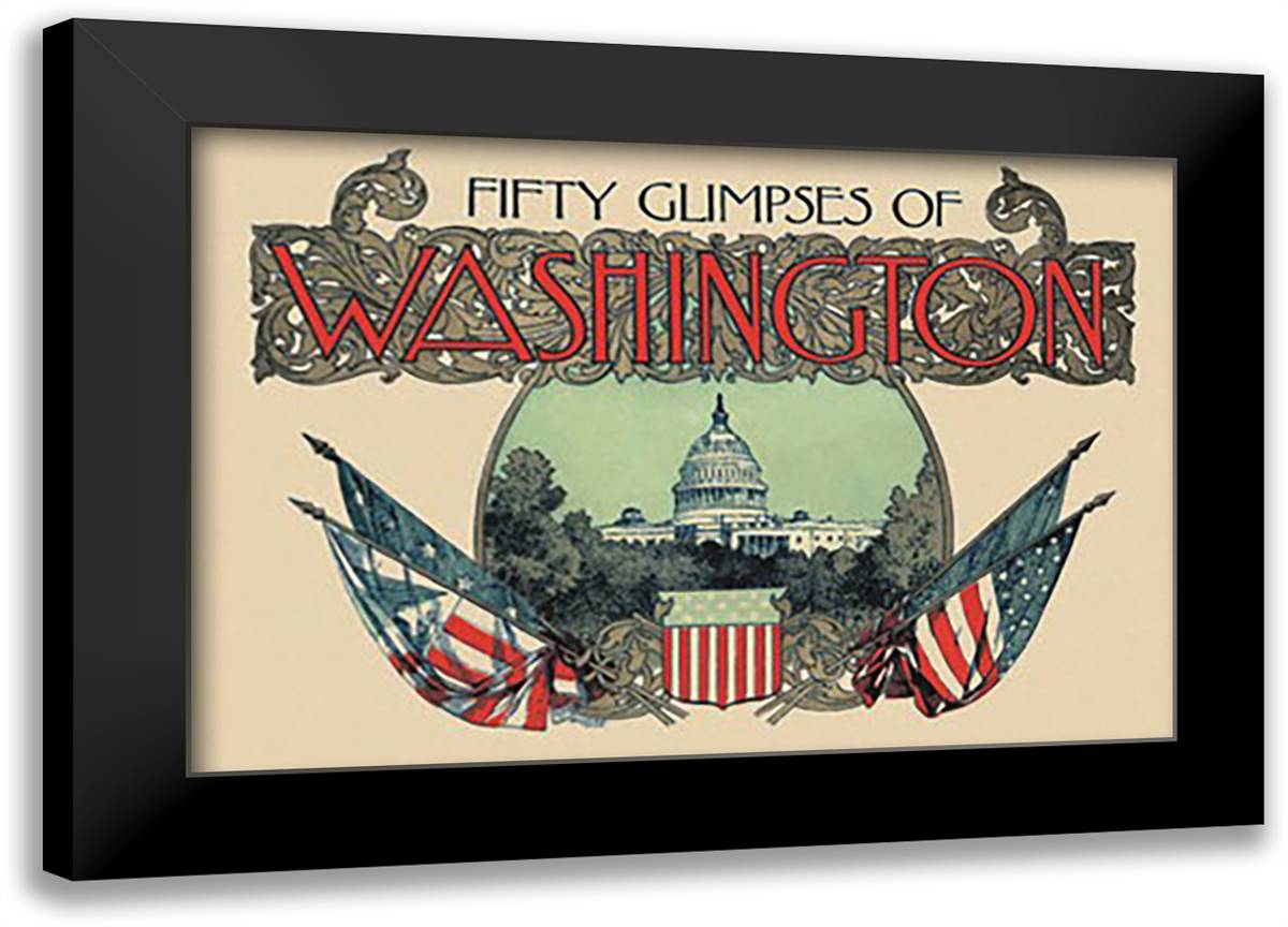 Glimpses of Washington D.C. 22x16 Black Modern Wood Framed Art Print Poster by Willing