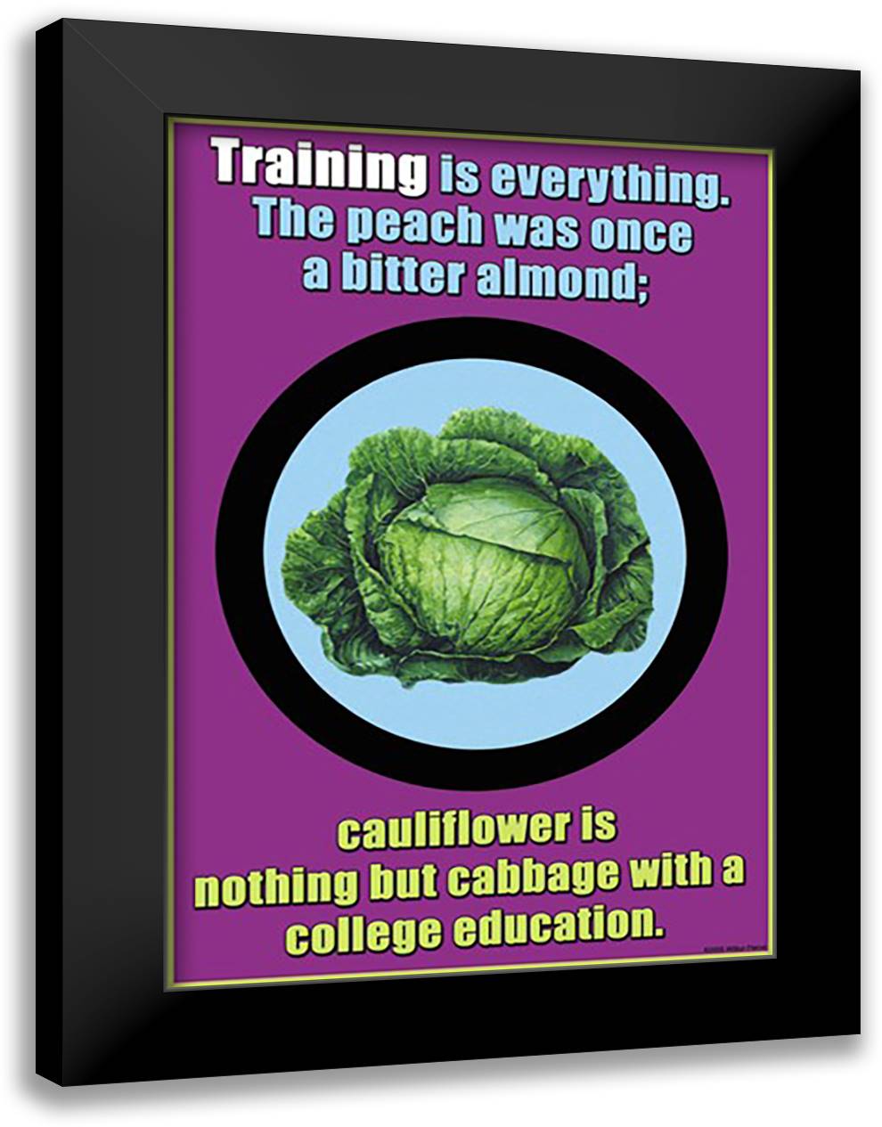 Training in everything 16x22 Black Modern Wood Framed Art Print Poster by Pierce, Wilbur
