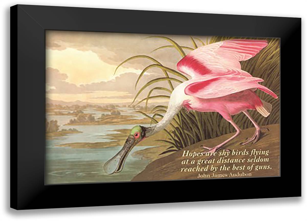 Hopes are shy birds 22x16 Black Modern Wood Framed Art Print Poster by Pierce, Wilbur