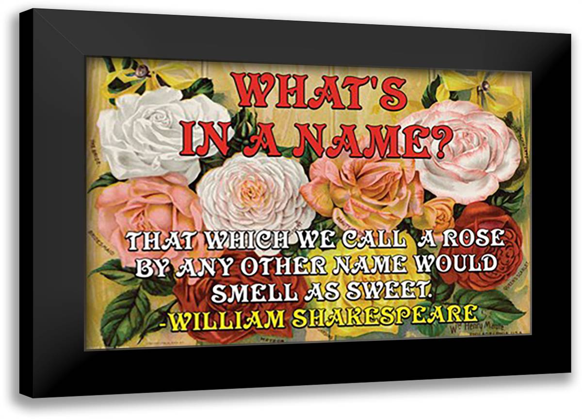 What's in a Name? 22x16 Black Modern Wood Framed Art Print Poster by Pierce, Wilbur