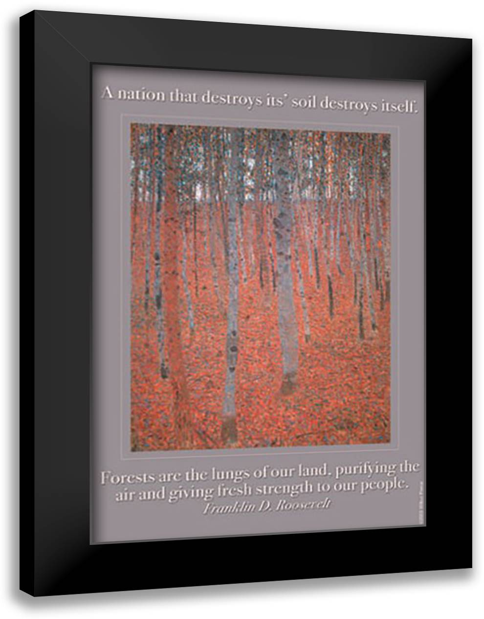 A Nation that destroys 16x22 Black Modern Wood Framed Art Print Poster by Pierce, Wilbur