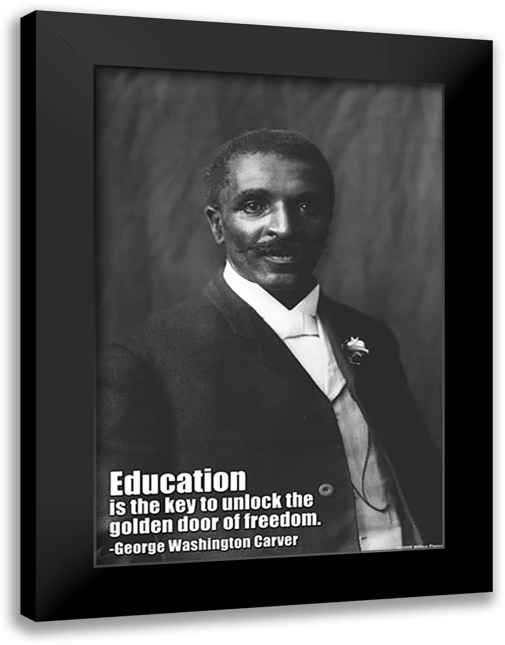 Golden Door of Freedom 16x22 Black Modern Wood Framed Art Print Poster by Pierce, Wilbur