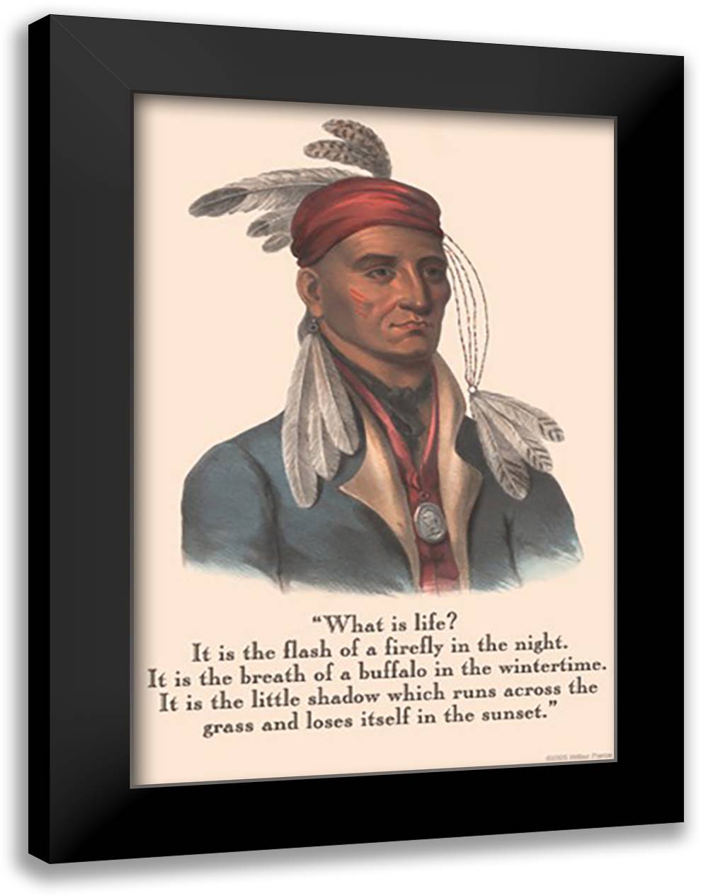 What is Life? 16x22 Black Modern Wood Framed Art Print Poster by Pierce, Wilbur