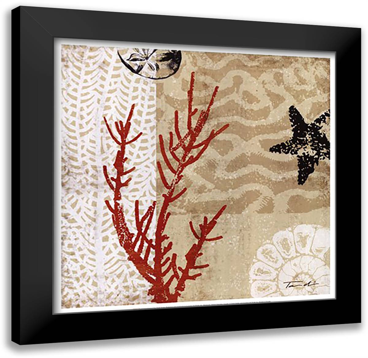 Coral Impressions I 20x20 Black Modern Wood Framed Art Print Poster by Venter, Tandi