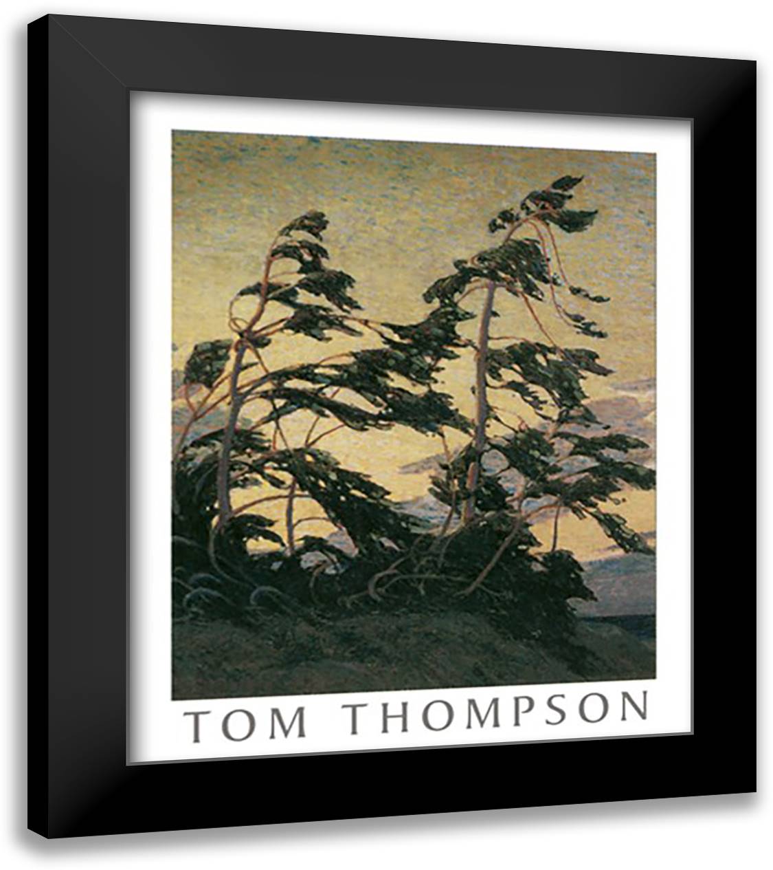Pine Island, Georgian Bay 23x27 Black Modern Wood Framed Art Print Poster by Thomson, Tom