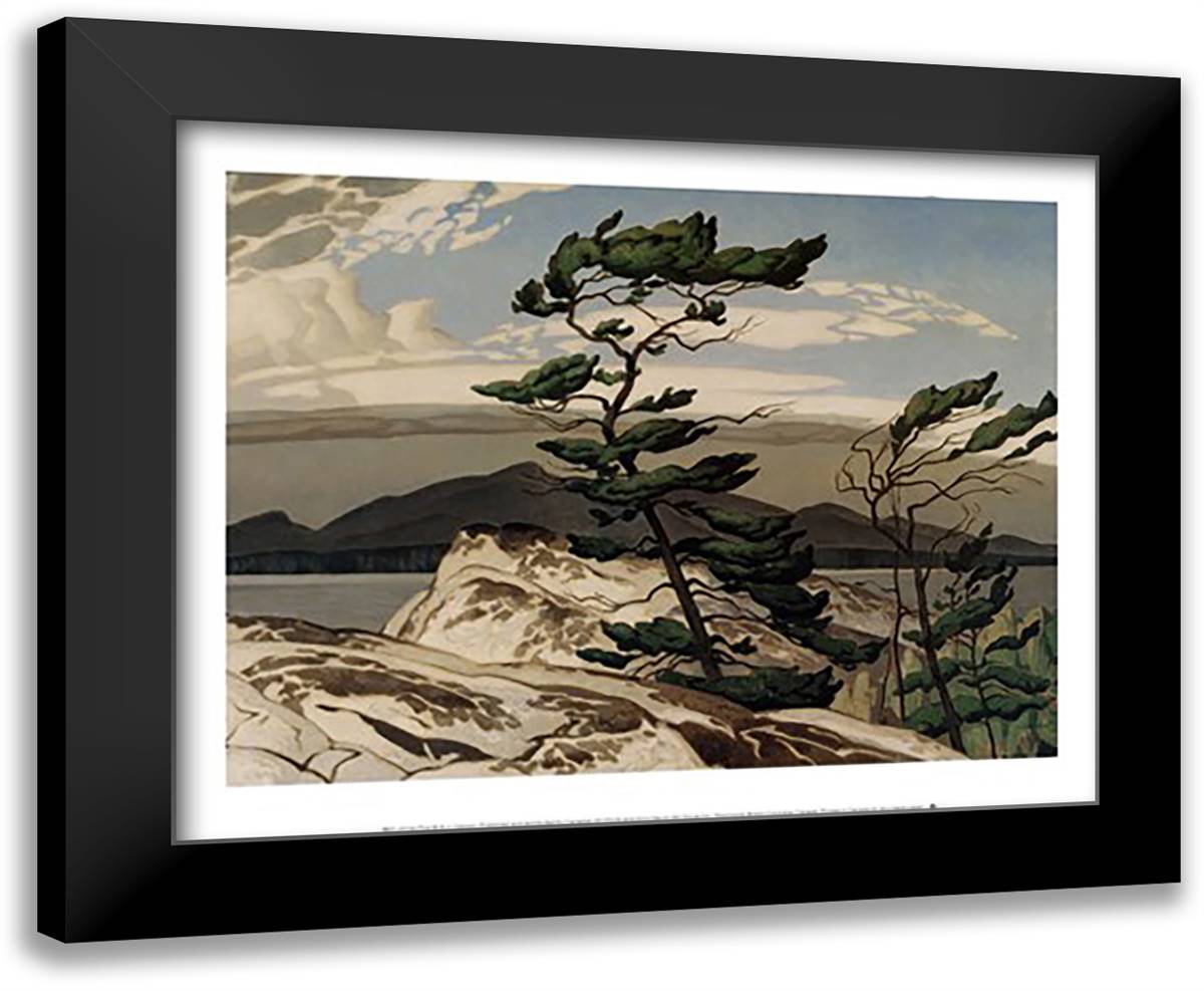 White Pine 16x14 Black Modern Wood Framed Art Print Poster by Casson, A. J.