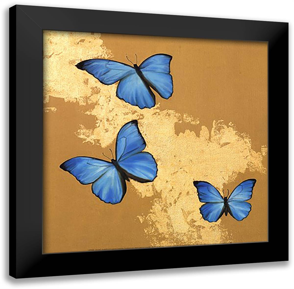 Cerulean Butterfly II 16x16 Black Modern Wood Framed Art Print Poster by Charlotte, Joanna