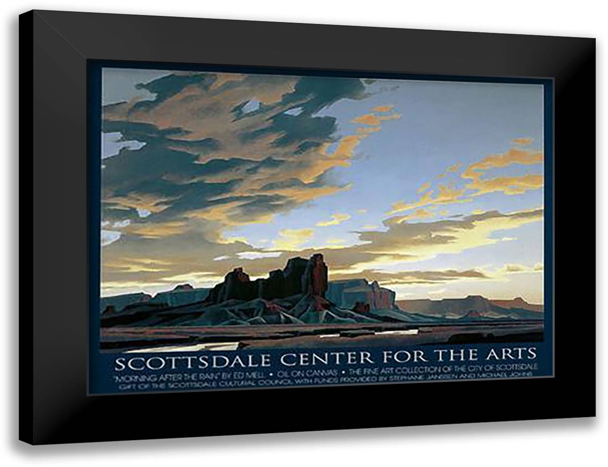 Morning After the Rain 37x26 Black Modern Wood Framed Art Print Poster by Mell, Ed