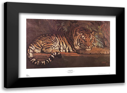 Tigre Royal 40x28 Black Modern Wood Framed Art Print Poster by Jouve, Paul