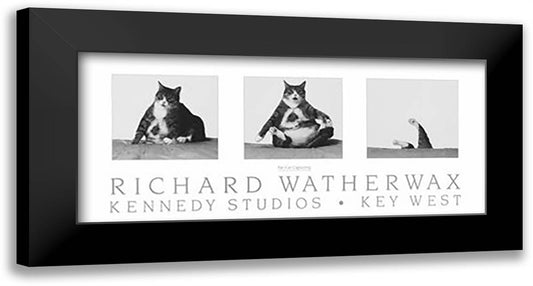 Fat Cat Capsizing 29x15 Black Modern Wood Framed Art Print Poster by Watherwax, Richard