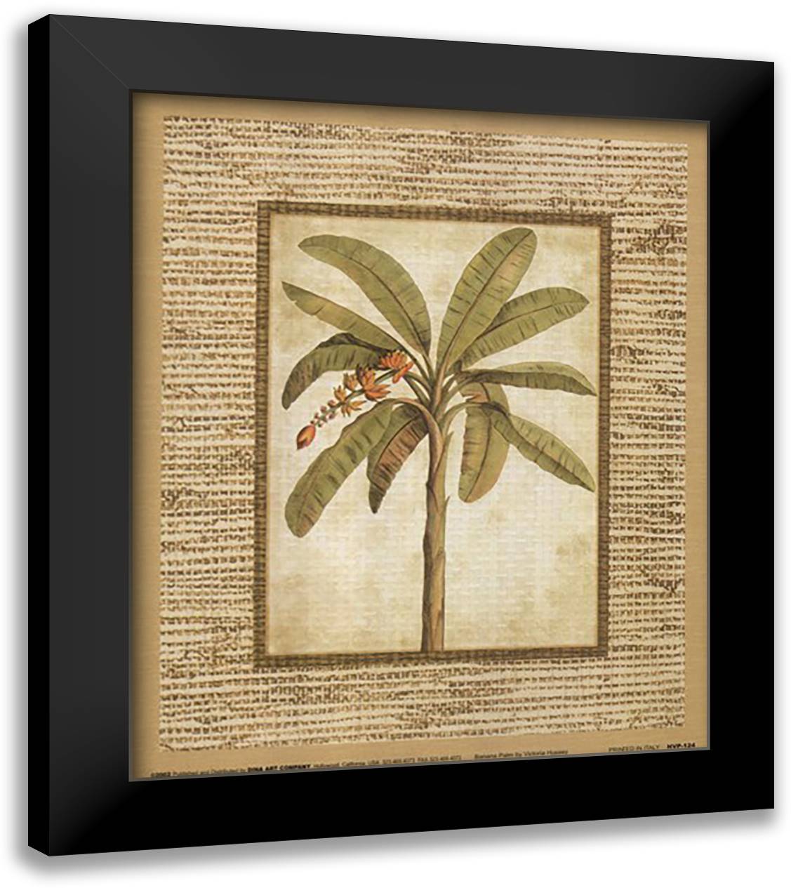 Banana Palm 12x14 Black Modern Wood Framed Art Print Poster by Hassy, Victoria