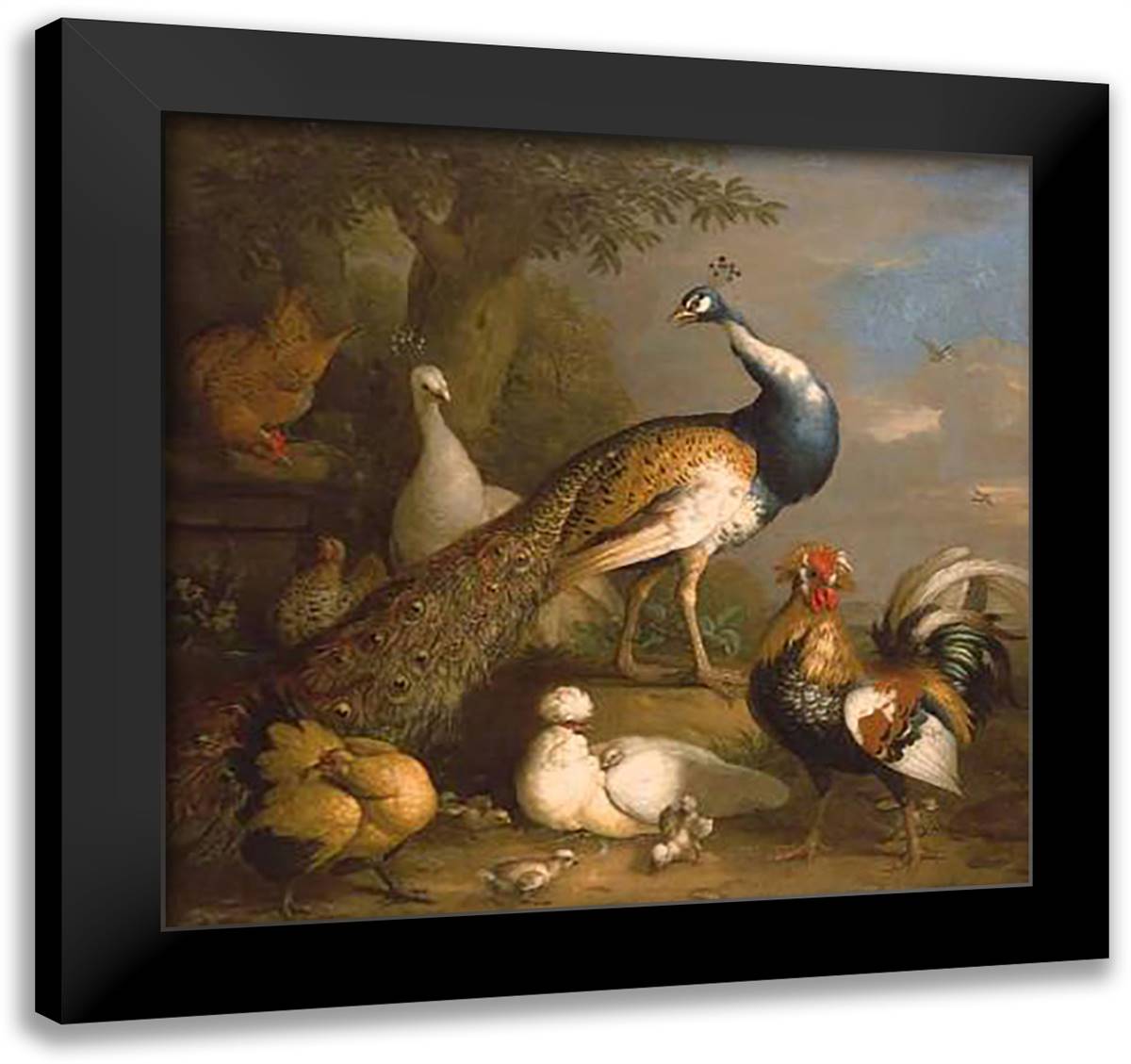 Peacock Peahen and Poultry 29x28 Black Modern Wood Framed Art Print Poster by Stranover, Tobias