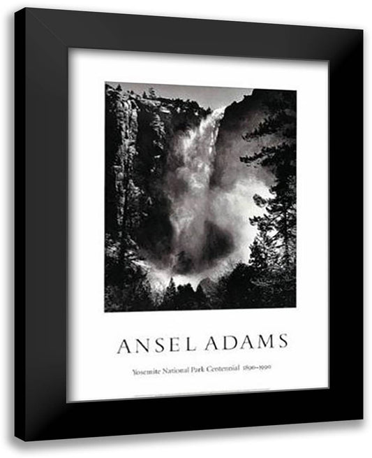 BridalVeil Falls 28x40 Black Modern Wood Framed Art Print Poster by Adams, Ansel