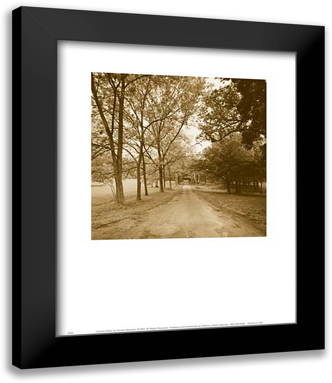 Country Road 15x18 Black Modern Wood Framed Art Print Poster by Wampler, Sondra